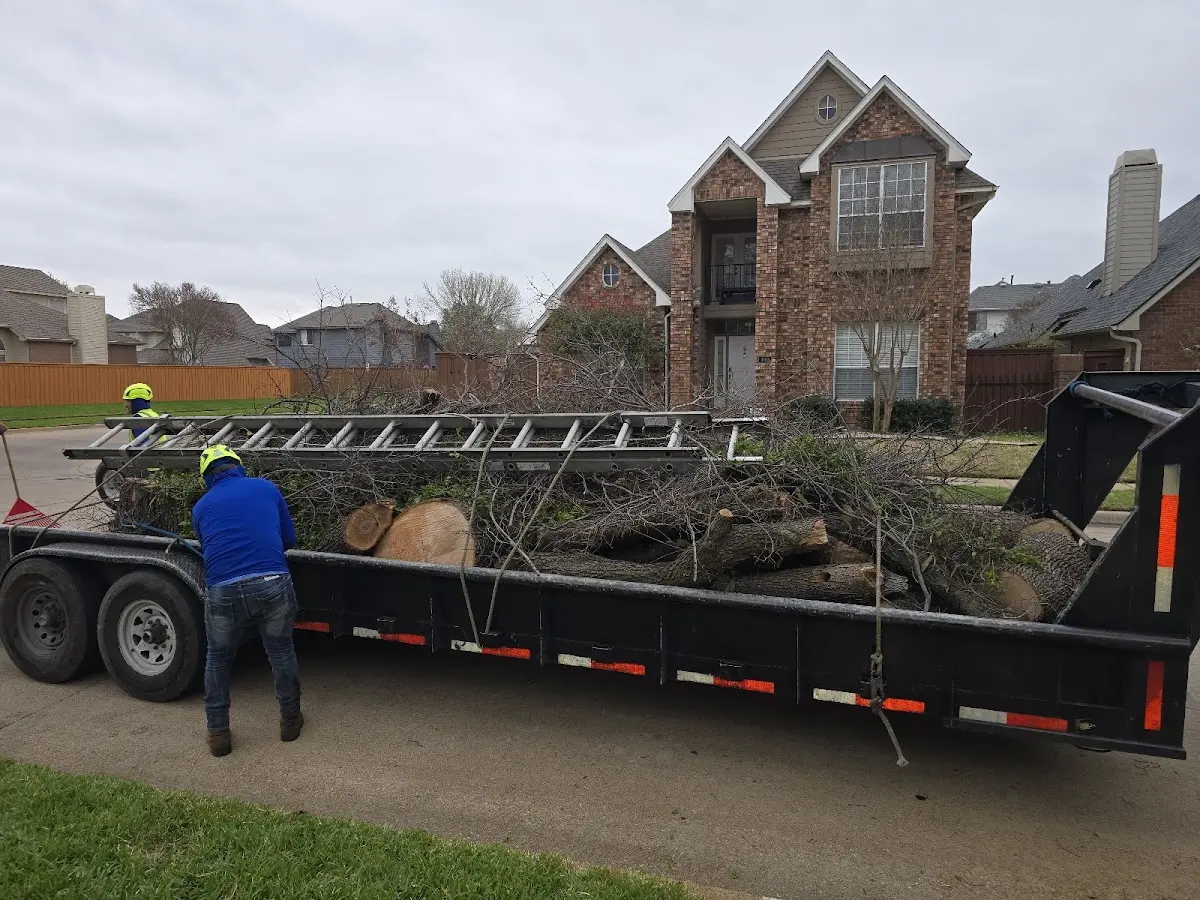 Expert Tree Fertilization with proper safety equipment in Hundred